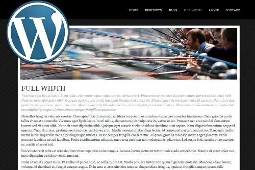 WordPress Full Width